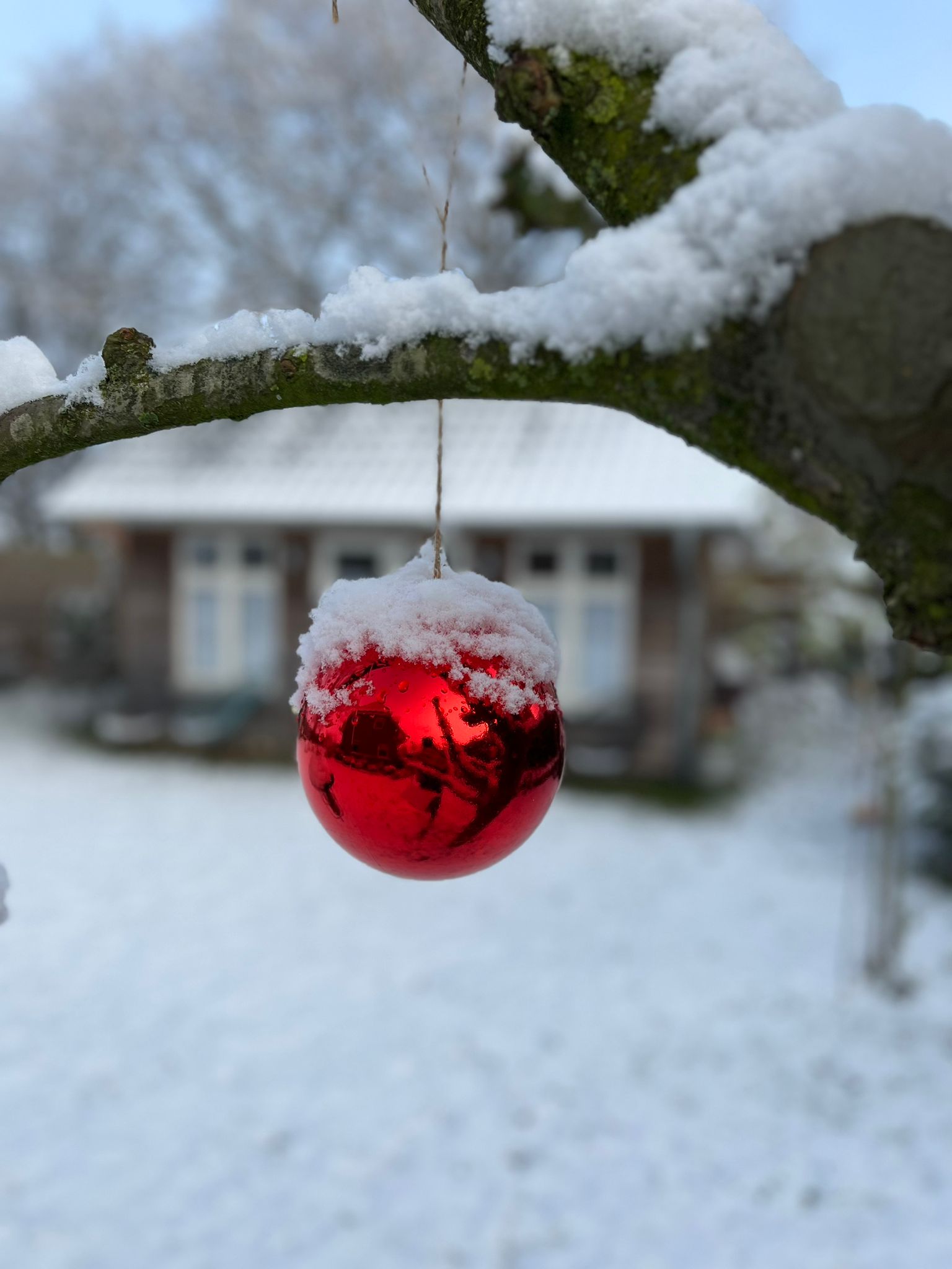 Wie wir den Weihnachtsstress meistern können